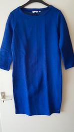 IMAGE KOBALTBLAUWE STRETCH JURK MAAT L JEANS CENTRE, Kleding | Dames, Blauw, Maat 42/44 (L), Nieuw, Ophalen of Verzenden