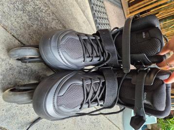 Skates beschikbaar voor biedingen