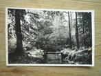 Ermelo In het Leuvenumsche bosch, Ophalen of Verzenden, Voor 1920, Gelderland