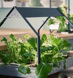 Ikea Krydda Binnen Kas/Tuintje, Ophalen of Verzenden, Glas, Zo goed als nieuw