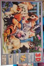 Leuke 3D puzzel, Ophalen of Verzenden, Minder dan 500 stukjes, Gebruikt, Rubik's of 3D-puzzel