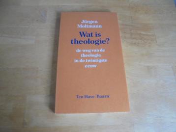 Wat is theologie - Jurgen Moltmann beschikbaar voor biedingen