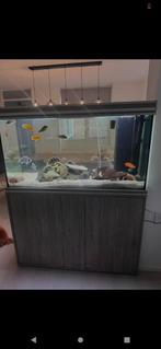ALLEEN VANDAAG €250 Aquarium 380L evt. Bezorgen, Ophalen, Nieuw, Leeg aquarium