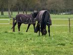2 boxen vrij op kleine prive pensionstal, Dieren en Toebehoren, Weidegang, 4 paarden of pony's of meer