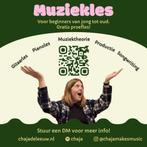 Muziekles online of in 't Gooi, Komt aan huis, Toetsinstrumenten