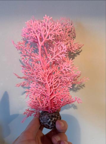 Leuke Biorb aquarium plant roze koraal beschikbaar voor biedingen