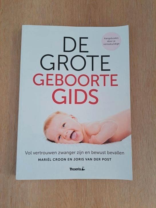 Joris van der Post - De grote geboorte gids, Boeken, Zwangerschap en Opvoeding, Zo goed als nieuw, Ophalen of Verzenden