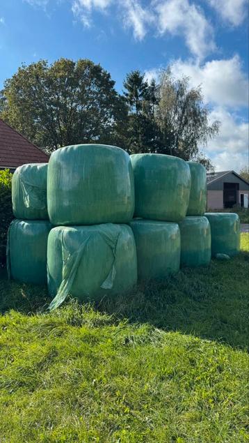 Te koop/ruil: Ca 12 grote ronde balen voordroog, zie adv. beschikbaar voor biedingen
