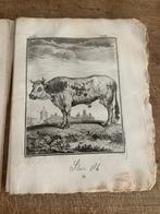 10 gravures van stier uit uitgave Buffon 1783, Antiek en Kunst, Ophalen of Verzenden