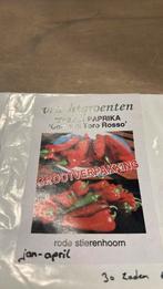 Paprikaconro di toronrosse zaden, Ophalen of Verzenden, Volle zon