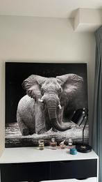 Canvas schilderij olifant, Huis en Inrichting, Woonaccessoires | Schilderijen, Tekeningen en Foto's, Ophalen, Zo goed als nieuw