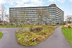 NIEUW! Woonruimte te huur Vogelweide, Amersfoort