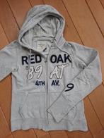 America Today  vest met kapuchon licht grijs maat L, Kleding | Dames, Maat 38/40 (M), Ophalen of Verzenden, Zo goed als nieuw