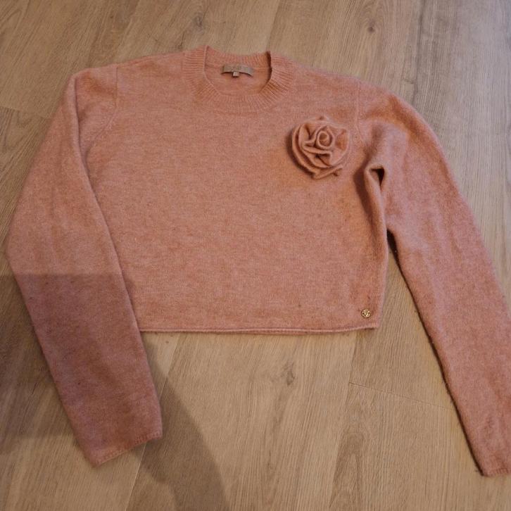 Josh V Trui - Lichtroze met Roos - Maat L (valt als M), Kleding | Dames, Truien en Vesten, Gedragen, Maat 42/44 (L), Roze, Ophalen of Verzenden