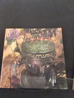 Zeer zeldzame vinyl lp van de The Open Mind., Ophalen of Verzenden, Zo goed als nieuw