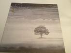 Genesis - Wind & Wuthering LP, Cd's en Dvd's, Vinyl | Rock, Ophalen of Verzenden, Zo goed als nieuw, 12 inch, Progressive