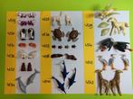 Playmobil Dieren 4529-43 Zwaan Gier Reiger Dolfijn Vis Panda, Kinderen en Baby's, Speelgoed | Playmobil, Verzenden, Gebruikt, Los playmobil