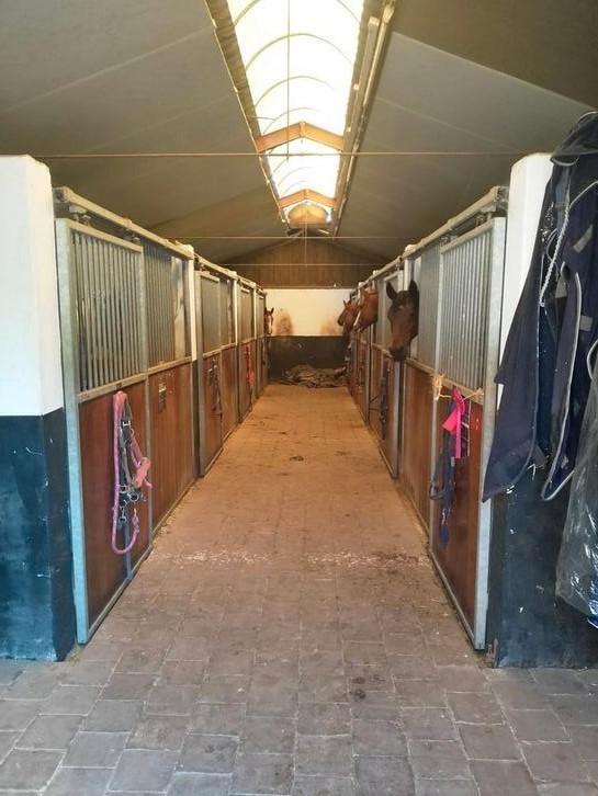 Pensionstalling op een mooie locatie, Dieren en Toebehoren, Stalling en Weidegang, Weidegang