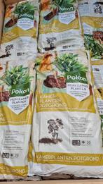 Potgrond Pokon Orchidee Palm Bonsai Kamerplant Langwerkend, Ophalen, Potgrond