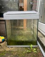 Aquarium, Dieren en Toebehoren, Vissen | Aquaria en Toebehoren, Ophalen of Verzenden, Zo goed als nieuw, Leeg aquarium