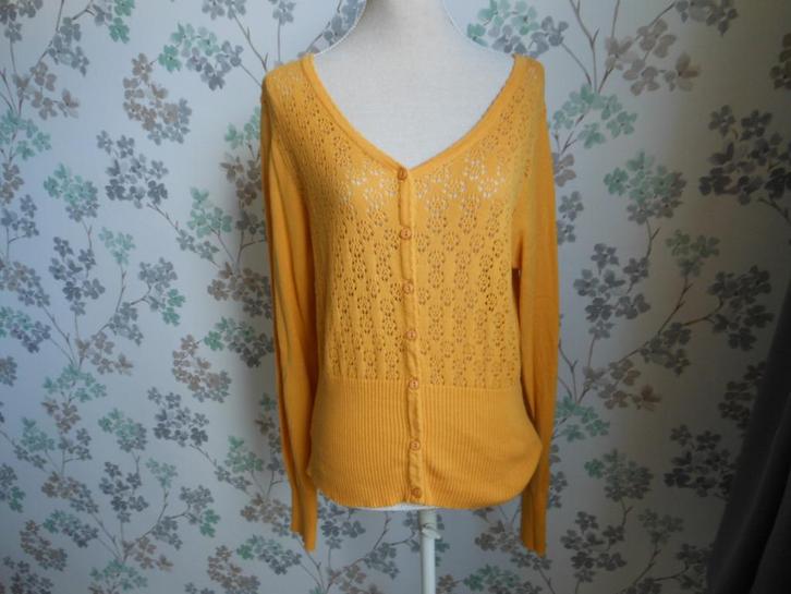 Mooi vest van TANTE BETSY, Kleding | Dames, Truien en Vesten, Zo goed als nieuw, Maat 46/48 (XL) of groter, Geel, Ophalen of Verzenden