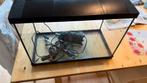 Aquarium 60 bx 40 hx 30d. eheim pomp, verwarming, LED l, Ophalen, Gebruikt, Verlichting of Verwarming