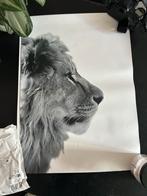 Desenio Posters - Leeuw, Schotse Hooglander, Giraffe, Ophalen of Verzenden, Zo goed als nieuw, Print, Minder dan 50 cm