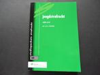 Boek Jeugdstrafrecht  ISBN 9789013098068, Boeken, J.A.C. Bartels, Zo goed als nieuw, Beta, HBO