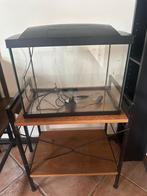 Aquarium 40 liter met toebehoren, Dieren en Toebehoren, Vissen | Aquaria en Toebehoren, Ophalen, Zo goed als nieuw, Leeg aquarium