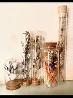 Droogbloemen in glazen flesjes - Set van 5, Ophalen of Verzenden, Nieuw