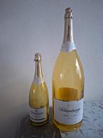 Buddy's decoratie wijnflessen 40+ 60 cm hoog samen €22.50, Ophalen, Nieuw, Frankrijk, Overige typen