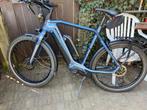 Sparta D-Brust speedbike, Fietsen en Brommers, Elektrische fietsen, Ophalen, Sparta, Zo goed als nieuw, 51 tot 55 cm
