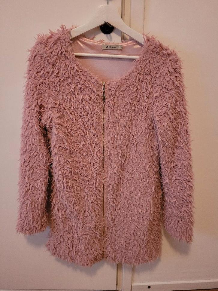 MJA paris fluffy teddy wozzelig zacht roze vest maat S/M, Kleding | Dames, Truien en Vesten, Gedragen, Maat 38/40 (M), Roze, Ophalen of Verzenden