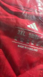 Ajax 125 jaar Amsterdam 750 jaar, Ophalen of Verzenden, Nieuw, Shirt