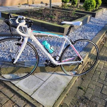 Racefiets Bianchi Nirone dama bianca beschikbaar voor biedingen