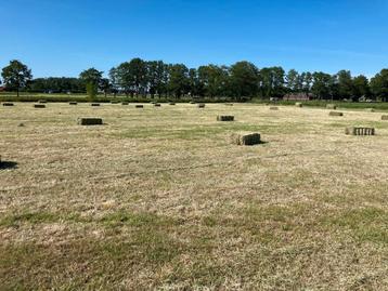 Kleine hooi balen beschikbaar voor biedingen