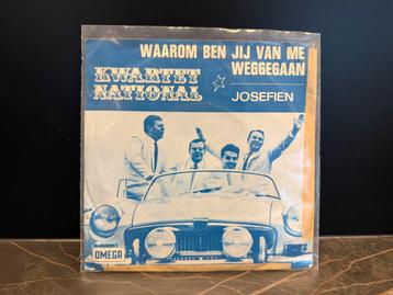 Kwarter National - Josefien beschikbaar voor biedingen