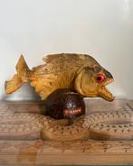 Piranha opgezet op halve kokosnooot, Suriname, Verzamelen, Dierenverzamelingen, Ophalen of Verzenden, Zo goed als nieuw, Wild dier