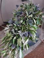 Kruiktoef blauwe distel, Ophalen of Verzenden, Nieuw