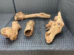 Terrarium spullen, Dieren en Toebehoren, Reptielen en Amfibieën | Toebehoren, Ophalen, Gebruikt, Tak, Plant, Rots of Steen