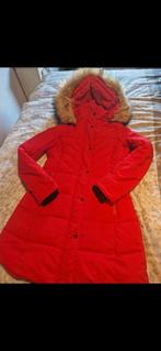 Winterjas dames, Ophalen of Verzenden, Zo goed als nieuw, Maat 36 (S), Rood