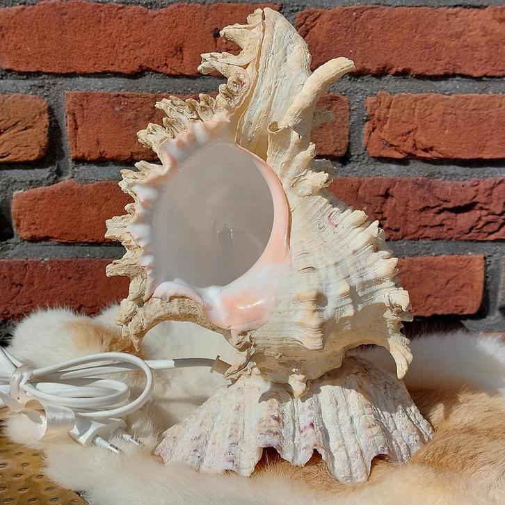 Vintage tafellamp 'Schelp' nr. 2, Huis en Inrichting, Lampen | Tafellampen, Nieuw, Minder dan 50 cm, Overige materialen, Ophalen of Verzenden