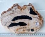Versteend Hout Sumatra Indonesië, Ophalen of Verzenden, Mineraal