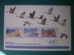 Duitsland-Vogels - Postfris, Verzenden, 1990 tot heden, Postfris