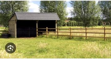 !!!!!SPOED!!!!! Met spoed gezocht plekje voor me paarden beschikbaar voor biedingen