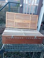 Reismanden voor postduiven, Meerdere dieren, Postduif