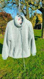 Kjelvik Scandinavian Outdoor Teddy Vest 46 XL Mint Vakantie, Maat 46/48 (XL) of groter, Nieuw, Ophalen of Verzenden, Kjelvik