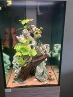 Aquarium Aqualife, Dieren en Toebehoren, Ophalen, Gebruikt, Leeg aquarium