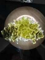 Besednice Moldaviet, Ophalen of Verzenden, Fossiel