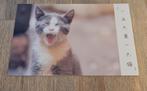Poes gaapt, Verzenden, Ongelopen, Hond of Kat